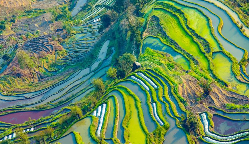 为什么TA的广告总能刷屏？安乡县广告片拍摄公司深度解码创作公式